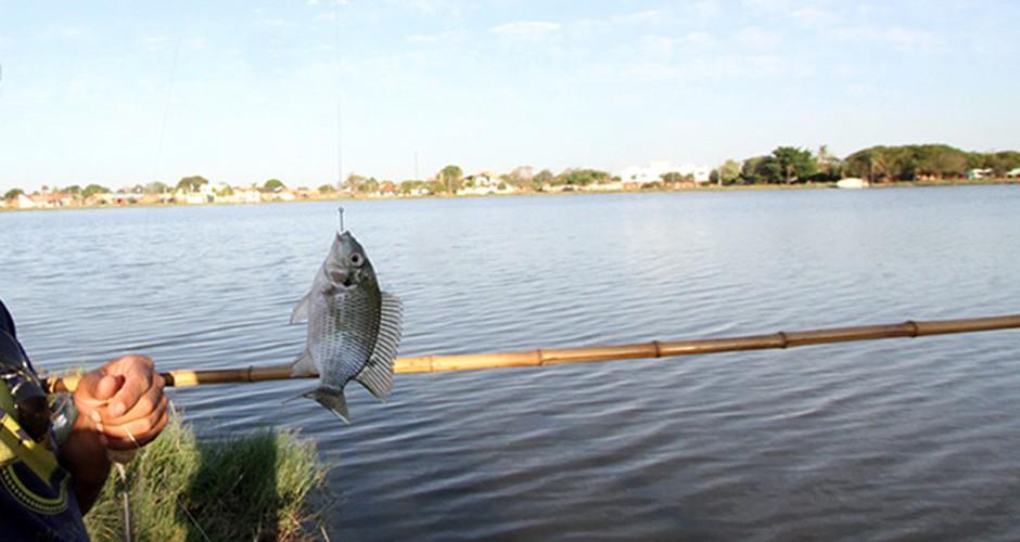 Pesca continua proibida nos rios de MS até 28 de fevereiro