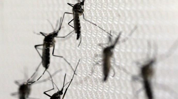 ONU defende aborto em países atingidos pelo zika