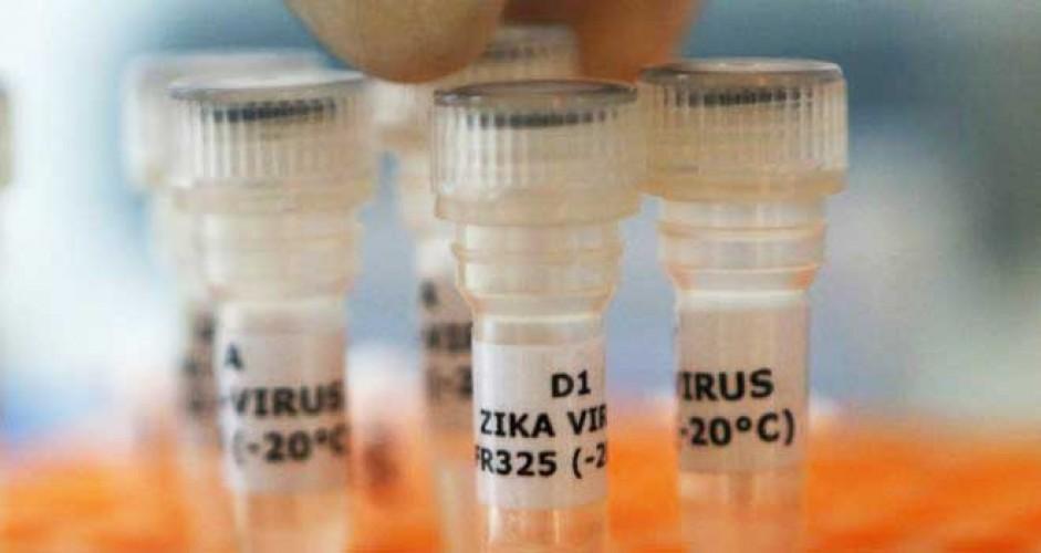 Especialistas vão estudar vacina contra o zika