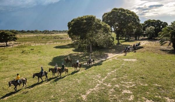 Pantanal na lista das melhores rotas para passeio a cavalo