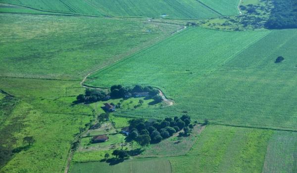 Produtores rurais de Mato Grosso do Sul devem mais de R$ 500 milhões