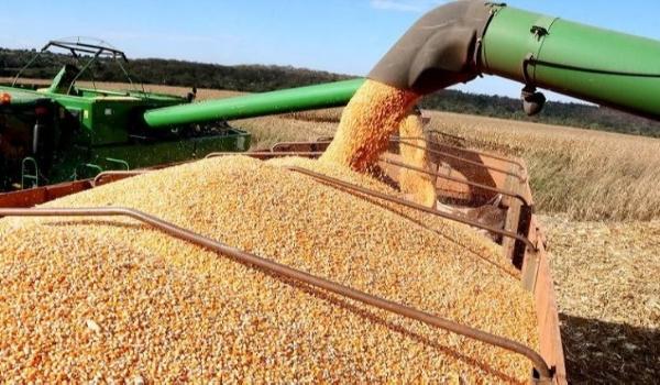 Força do Agro: produção agrícola total do Estado deverá superar os 106,5 milhões de toneladas neste ano