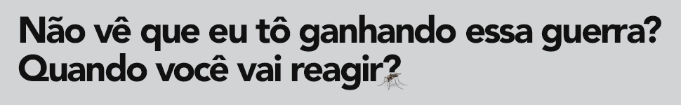 Dengue Agosto Boni
