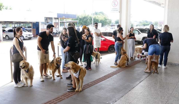Manifestantes pedem justiça após morte de Joca, cachorro extraviado em voo