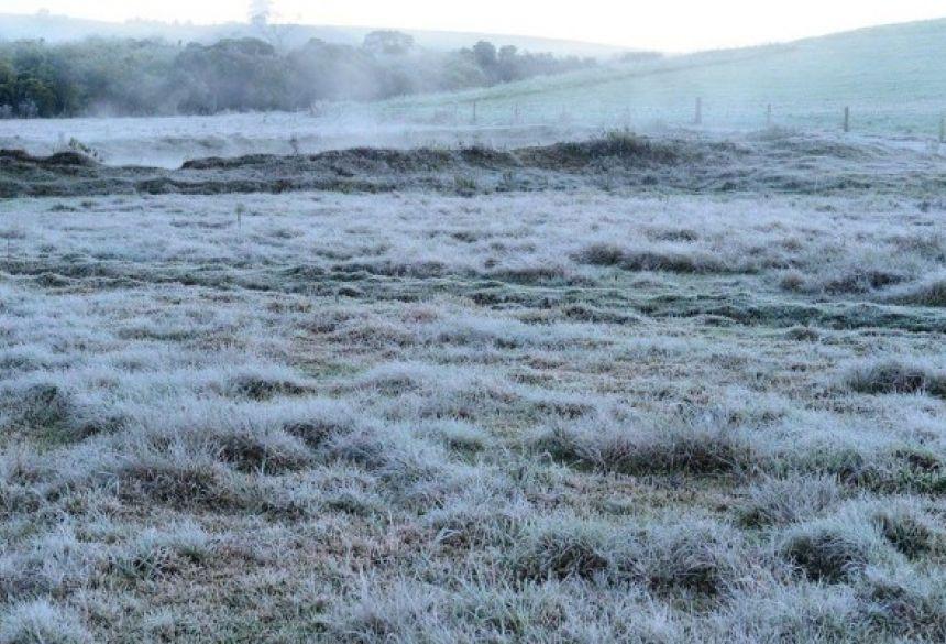 Em MS, 11 municípios têm geadas durante a madrugada