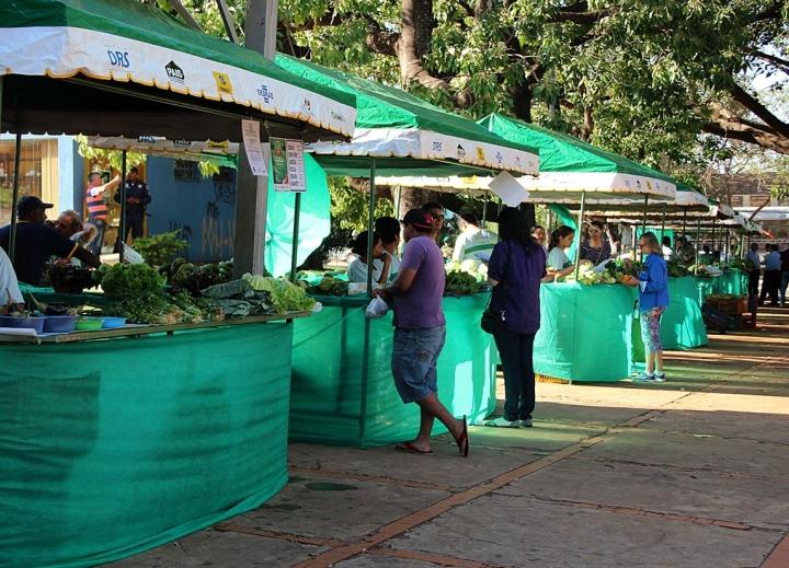 Produtores temem projeto que restringe venda de orgânicos