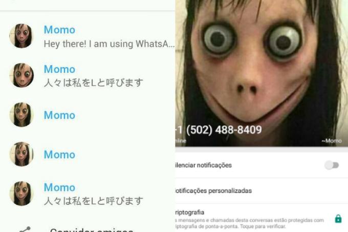 O mistério por trás de Momo, a corrente de terror do WhatsApp