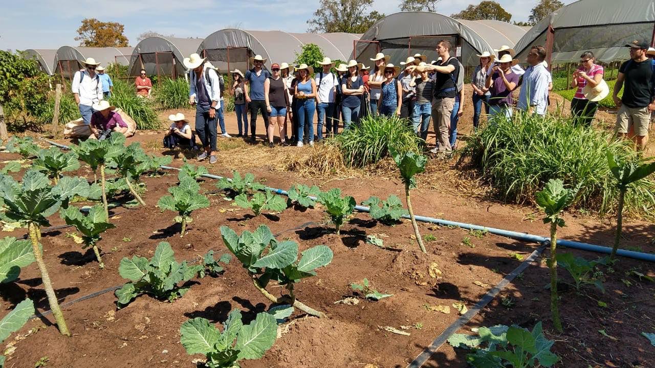 Estudantes estrangeiros visitam produção de orgânicos em Campo Grande