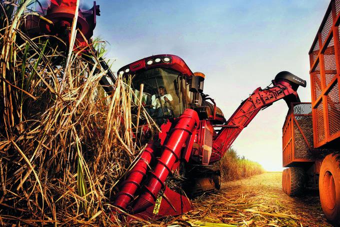 Açúcar e frango são os mais impactados por sobretaxa