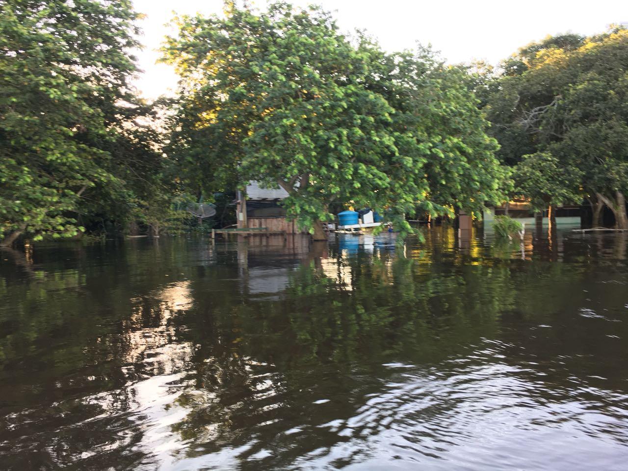 Em período de seca, cheia ainda afeta o Pantanal