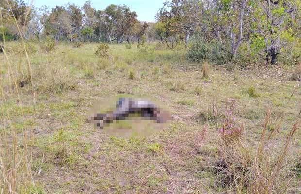 Corpo de homem apodrece há uma semana em fazenda
