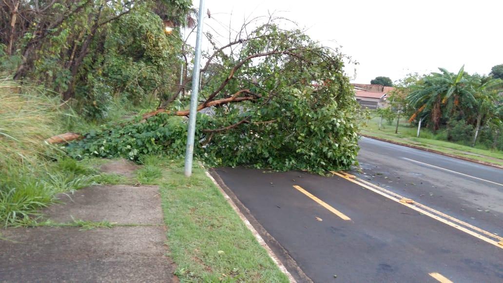 Calçada do parque Imbirussu é motivo de preocupação para moradores