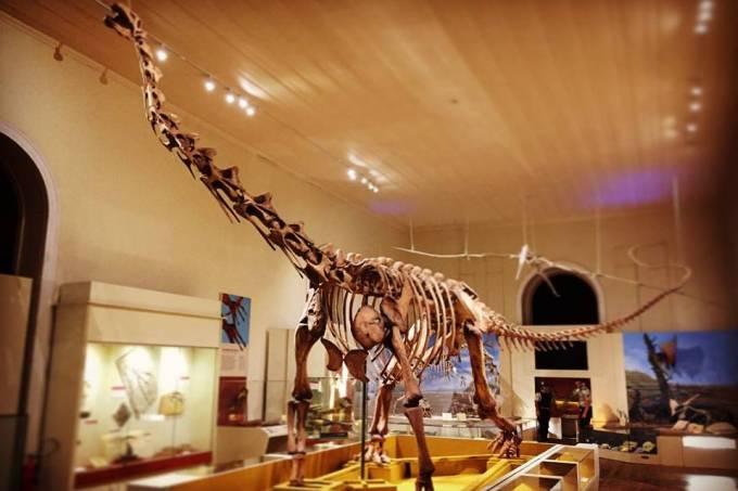 Com orçamento reduzido, Museu Nacional fez ‘vaquinha’ na internet