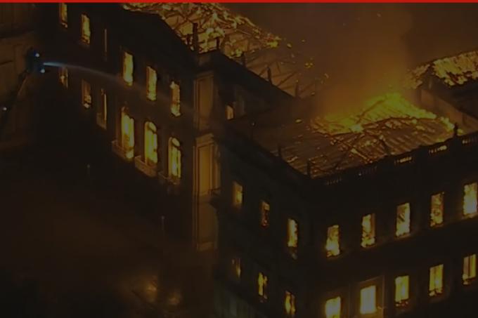 Pelo menos o acervo de invertebrados foi salvo, diz diretora do museu