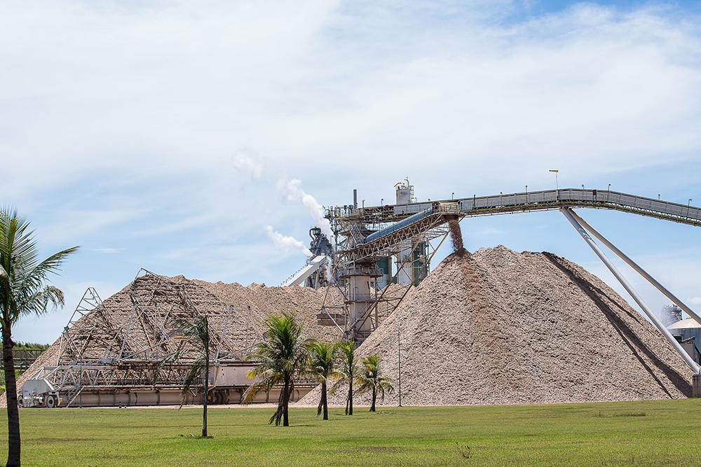 MS é o 2º do País na geração de energia a partir da biomassa