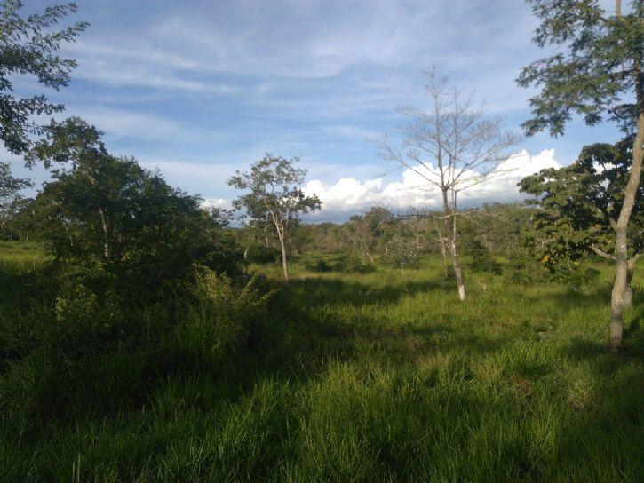 Produtor rural responsável por devastação também é alvo da PF