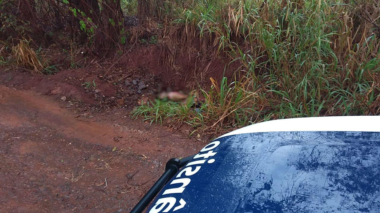 Homem é degolado e jogado no mato com mãos amarradas