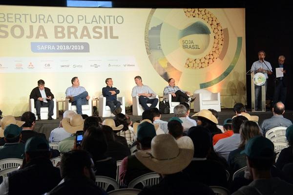 Plantio de soja tem início com chuva e previsão de alta
