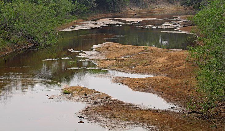 Com menor estação chuvosa em 10 anos, Pantanal já tem 80% das propriedades afetadas