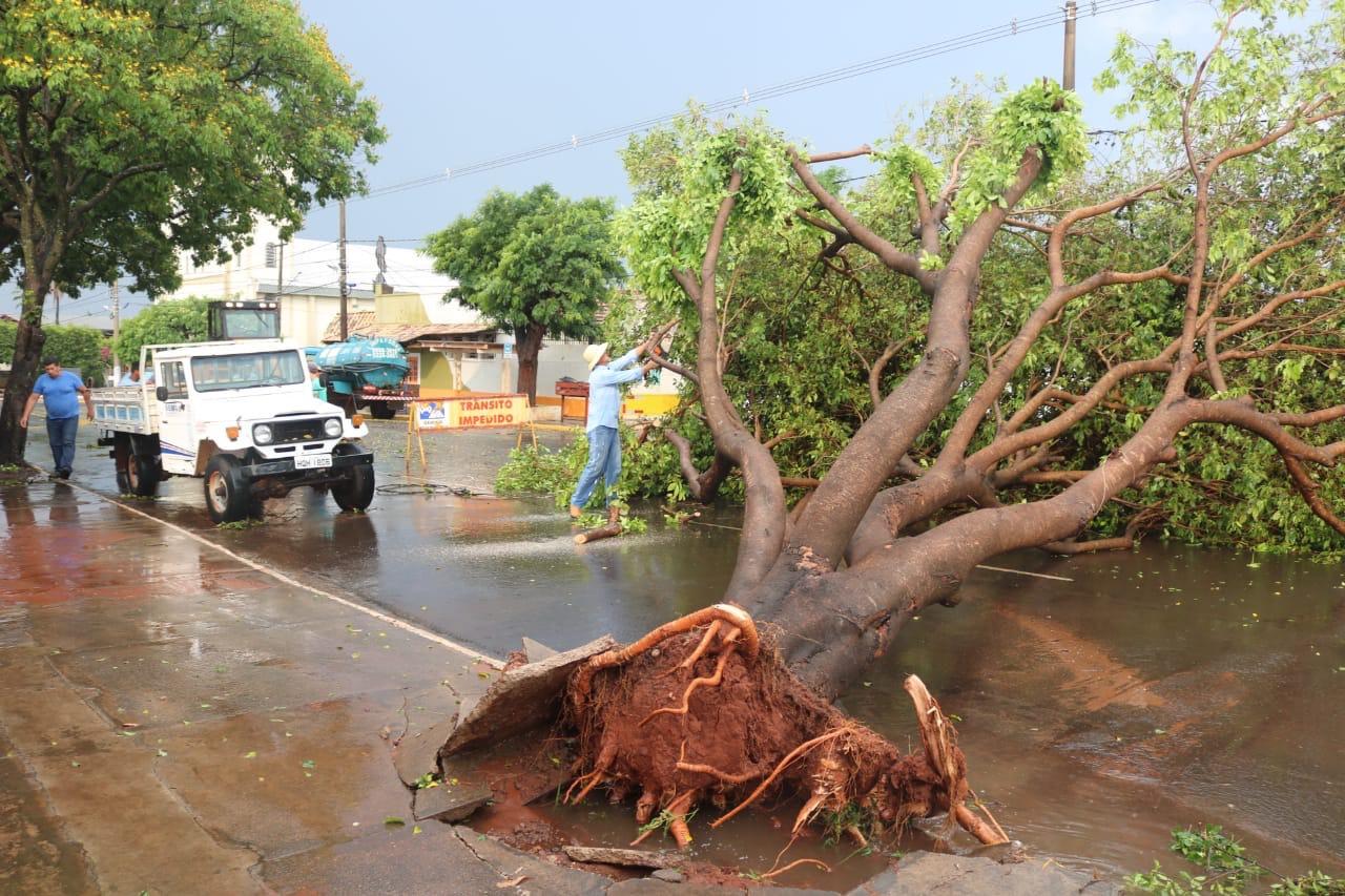 Chuva forte e ventos intensos causam estragos em Jardim
