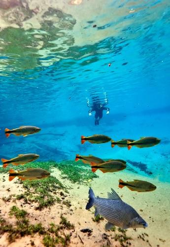 Paraísos ecológicos de Jardim são finalistas de prêmio nacional de turismo