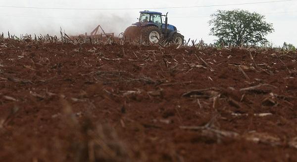 Soja bate R$ 84 e acelera venda antecipada do grão em MS