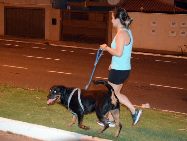 Município prepara compra de 20 mil chips para cães e gatos