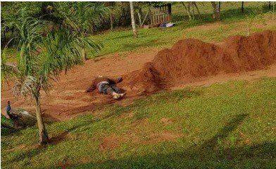 Corpos de brasileiros são fuzilados no PY