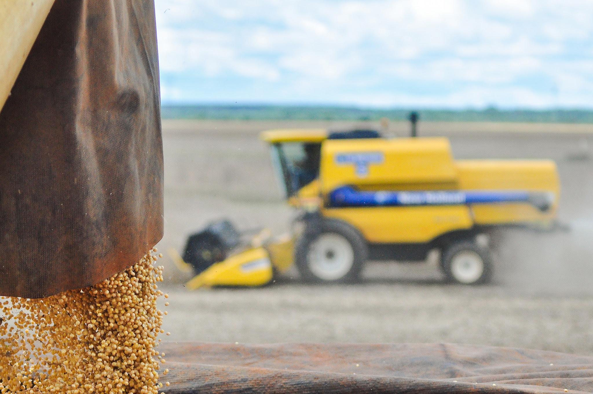 MS inicia outubro com quase 90% da safra comercializada