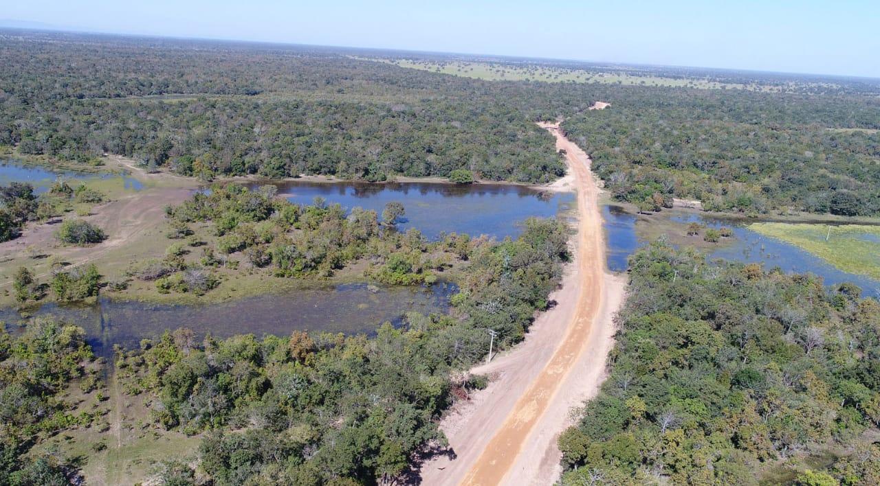 Pantanal ganha estradas para retirada do gado na cheia