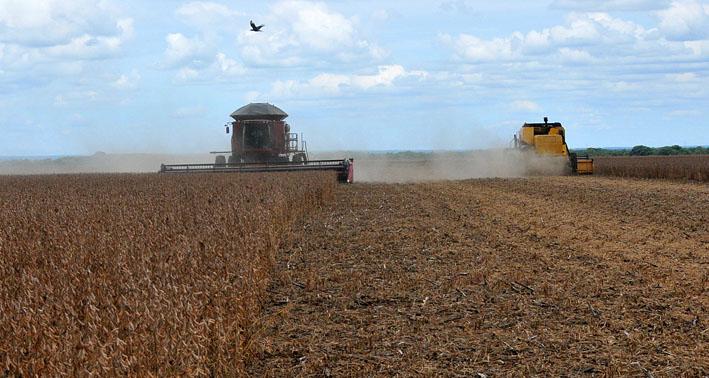 MS manterá política econômica de olho em ajuste fiscal