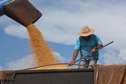 Maior parceiro de MS, China comprou R$ 2,2 bilhões