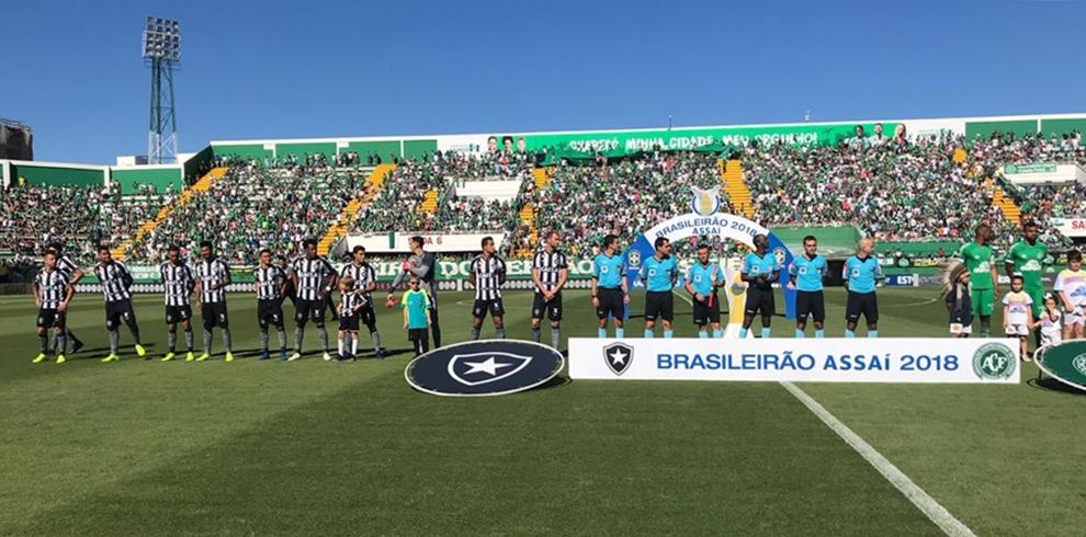 Botafogo vence e se distancia do rebaixamento