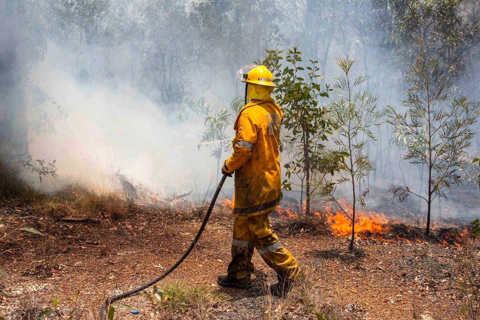 Incêndios na Austrália obrigam 8 mil a deixarem casas