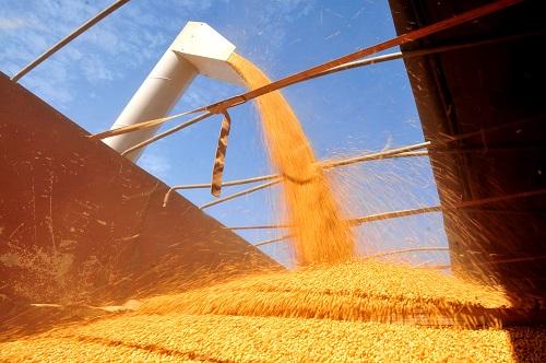 Projeto que diminui tributos sobre farelo de soja é aprovado