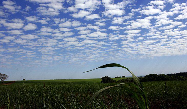 Domingo gelado no sudoeste de MS