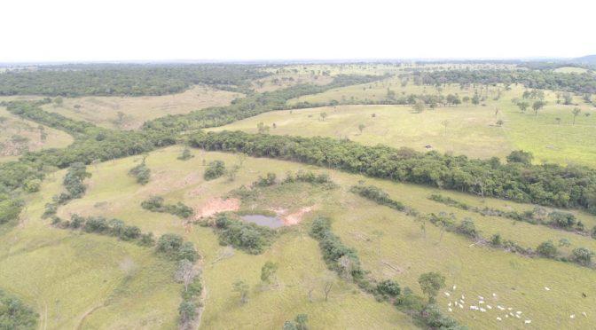 Multas por desmatamento ilegal ultrapassam R$ 3 mi em MS