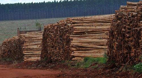 Fundersul rendeu este ano R$ 550 mi a Mato Grosso do Sul