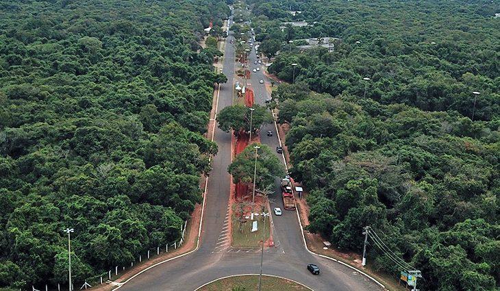 Revitalização do Parque dos Poderes terá foco na preservação da vegetação nativa