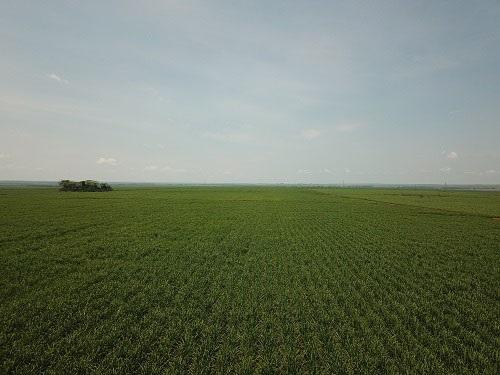 Mato Grosso do Sul deve ampliar produção de etanol