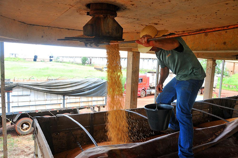 Vendas caíram nos maiores exportadores do MS