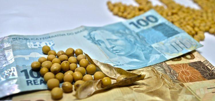 Agro domina exportações em Mato Grosso do Sul