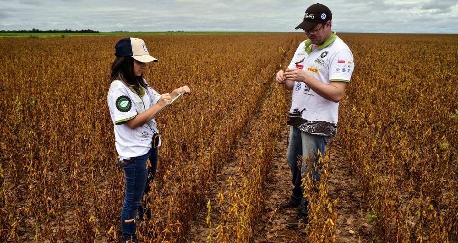 Expedição técnica avalia lavouras de soja no MS
