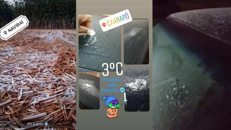 VÍDEO: Geadas cobrem carros e plantações após sensação de -6ºC em MS