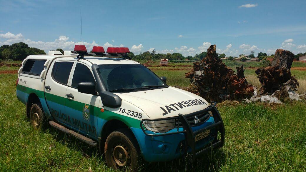 Empresa paranaense é atuada incêndio de madeira