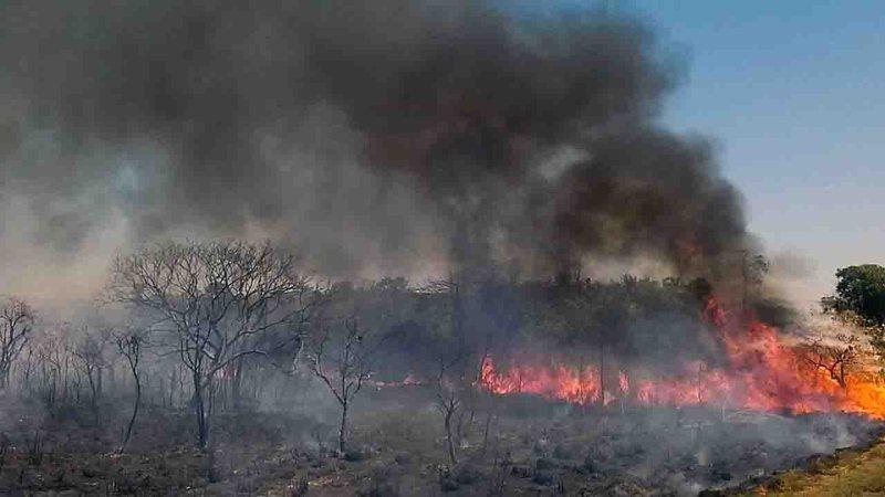 Decreto proíbe queimadas em todo o Brasil