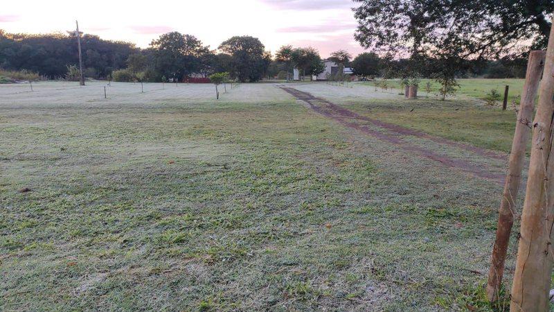 Com geada, Dourados tem madrugada mais fria do ano