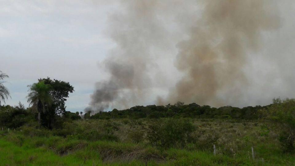Incêndio destrói vegetação em bonito e reacende discussão sobre Unidades de Conservação
