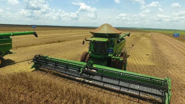 Colheita chega a 10% das lavouras de soja no MS