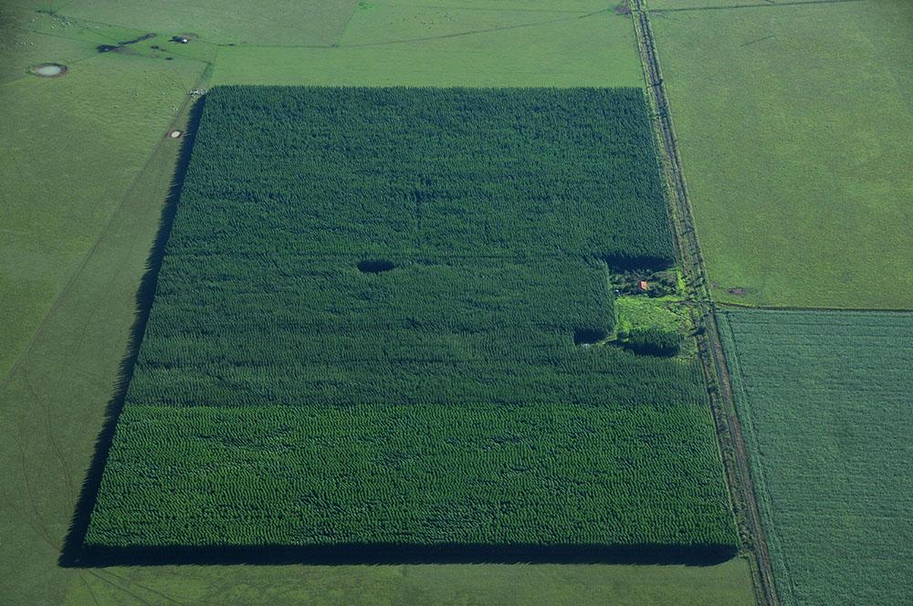 Venda para estrangeiros será definida em março